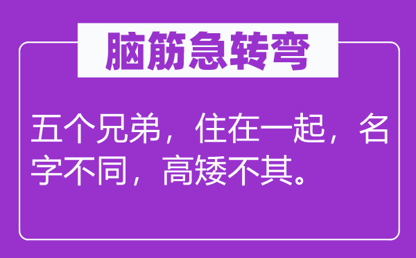 脑子急转弯：五个兄弟，住在一路，名字差别，高矮不其。