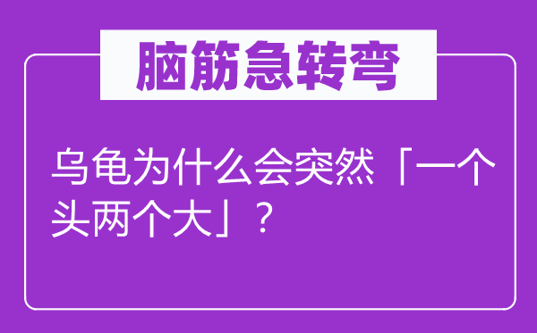 脑子急转弯：乌龟为甚么会俄然「一个头两个大」？