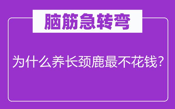 脑子急转弯：为甚么养长颈鹿最不费钱？