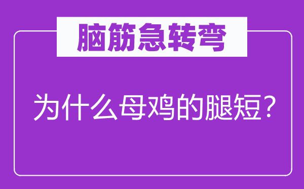 脑子急转弯：为甚么母鸡的腿短？