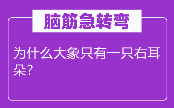 脑子急转弯：为甚么大象只要一只右耳朵？