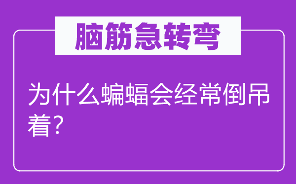 脑子急转弯：为甚么蝙蝠会常常倒吊着？