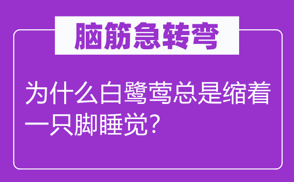 脑子急转弯：为甚么白鹭莺老是缩着一只脚睡觉？