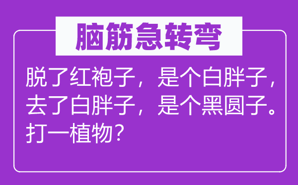 脑子急转弯：脱了红袍子，是个白瘦子，去了白瘦子，是个黑圆子。打一动物？
