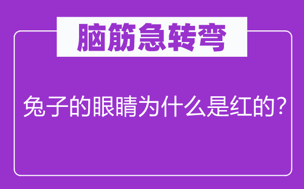 脑子急转弯：兔子的眼睛为甚么是红的？