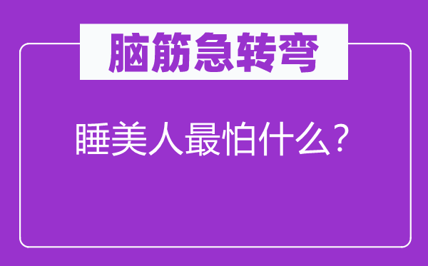 脑子急转弯：睡佳丽最怕甚么？