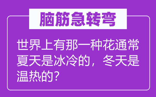 脑子急转弯：天下上有那一莳花凡是炎天是酷寒的，冬季是温热的？