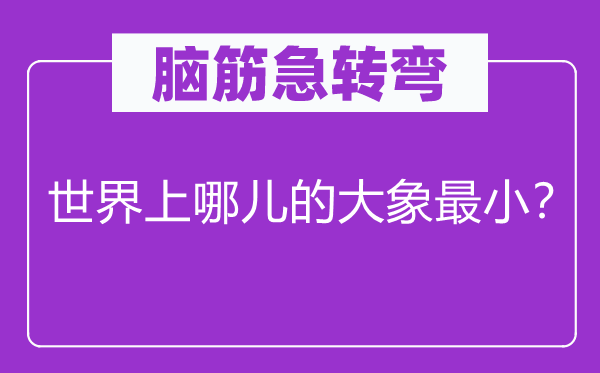 脑子急转弯：天下上哪儿的大象最小？