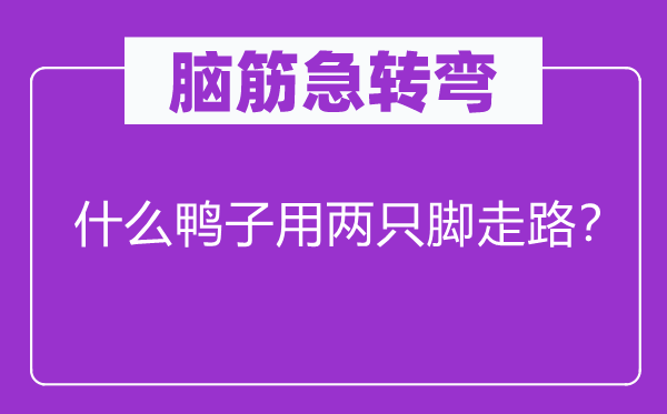 脑子急转弯：甚么鸭子用两只脚走路？
