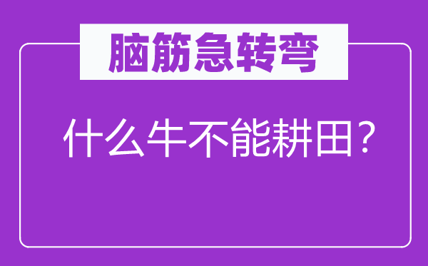 脑子急转弯：甚么牛不能种田？