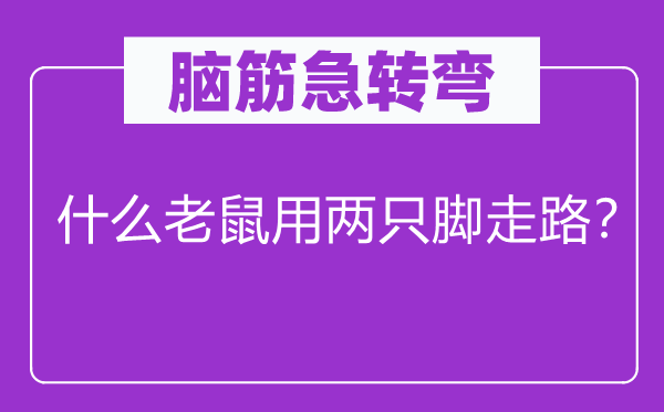 脑子急转弯：甚么老鼠用两只脚走路？