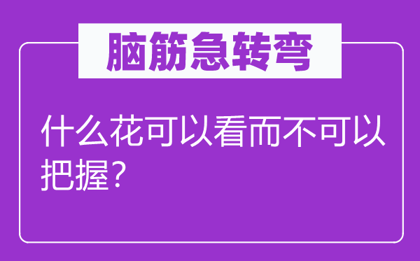 脑子急转弯：甚么花能够看而不能够掌握？