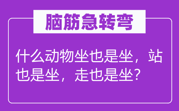 脑子急转弯：甚么植物坐也是坐，站也是坐，走也是坐？