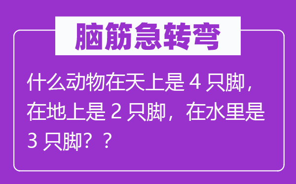 脑子急转弯：甚么植物在天上是4只脚，在地上是2只脚，在水里是3只脚？