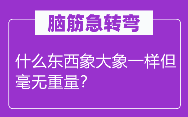 脑子急转弯：甚么东西象大象一样但毫无分量？