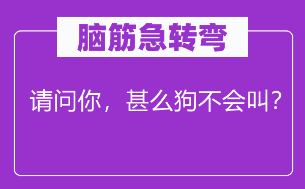 脑子急转弯：叨教你，甚么狗不会叫？