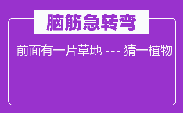 脑子急转弯：前面有一片草地---猜一动物
