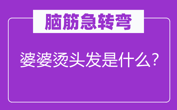 脑子急转弯：婆婆烫头发是甚么？
