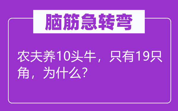 脑子急转弯：农民养10头牛，只要19只角，为甚么？