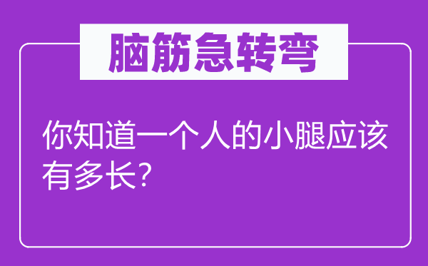 脑子急转弯：你晓得一小我的小腿应当有多长？
