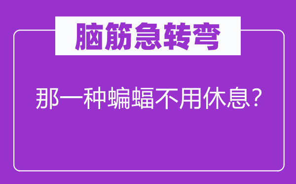 脑子急转弯：那一种蝙蝠不必歇息？