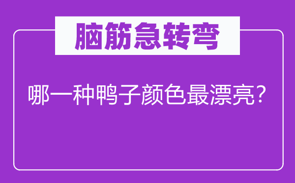 脑子急转弯：哪种鸭子色彩最标致？