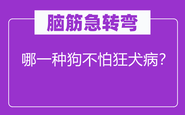 脑子急转弯：哪种狗不怕狂犬病？