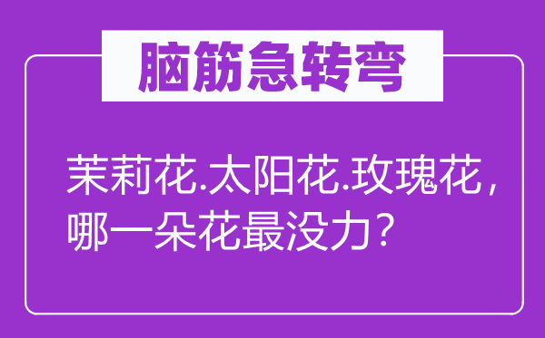 脑子急转弯：茉莉花.太阳花.玫瑰花，哪一朵花最没力？