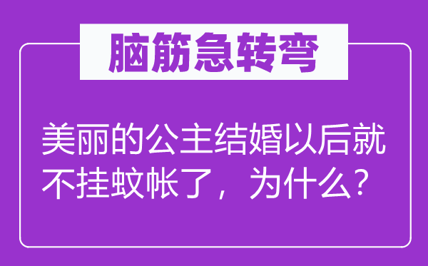 脑子急转弯：斑斓的公主成婚今后就不挂蚊帐了，为甚么？