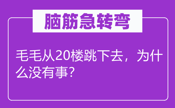 脑子急转弯：毛毛从20楼跳下去，为甚么不事？
