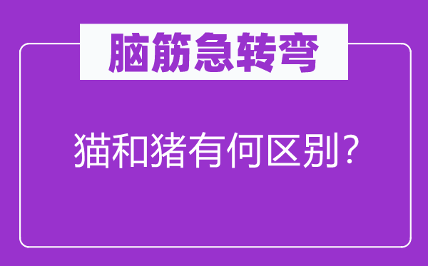 脑子急转弯：猫和猪有何区分？