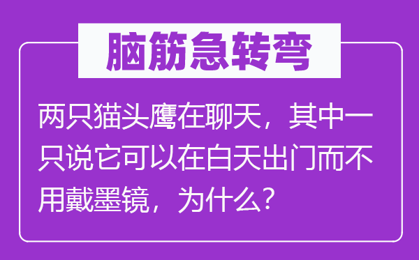 脑子急转弯：两只猫头鹰在谈天，此中一只说它能够在白天出门而不必戴墨镜，为甚么？