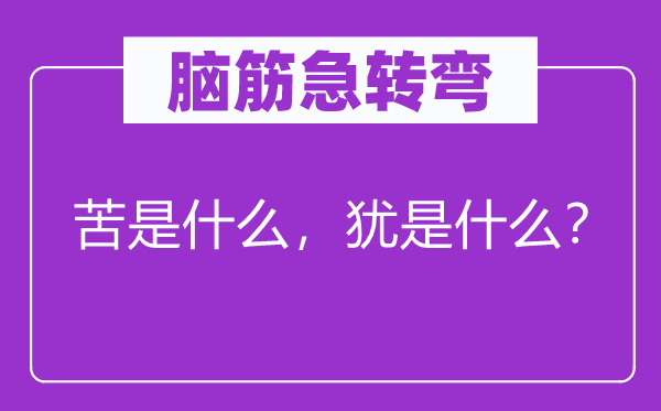 脑子急转弯：苦是甚么，犹是甚么？