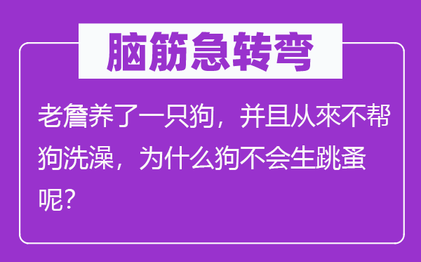 脑子急转弯:老詹养了一只狗,并且从來不帮狗沐浴,为甚么狗不会生跳蚤呢?