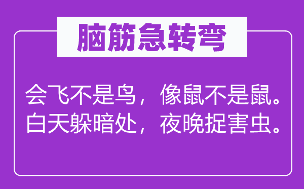 脑子急转弯：会飞不是鸟，像鼠不是鼠。白天躲暗处，夜晚捉益虫。