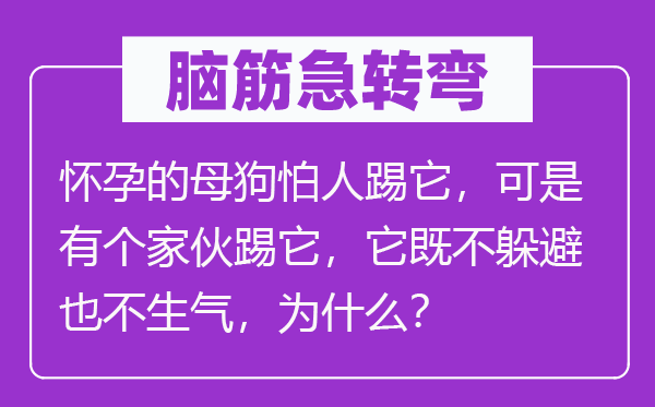 脑子急转弯：有身的母狗怕人踢它，但是有个家伙踢它，它既不遁藏也不朝气，为甚么？