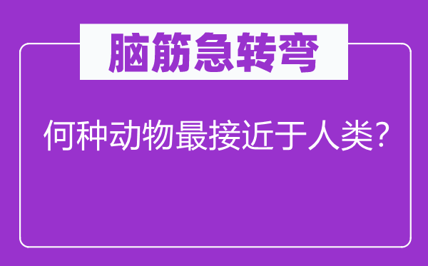 脑子急转弯：何种植物最靠近于人类？