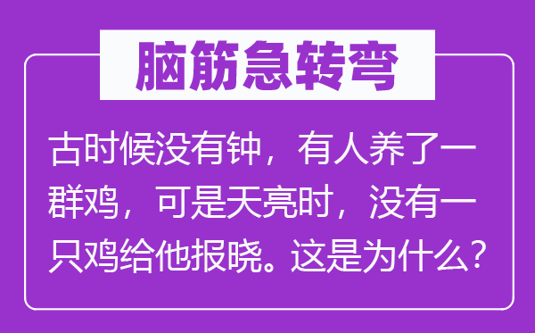 脑子急转弯：古时辰不钟，有人养了一群鸡，但是天亮时，不一只鸡给他报晓。这是为甚么？
