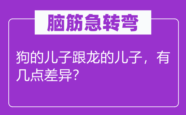 脑子急转弯：狗的儿子跟龙的儿子，有几点差别？