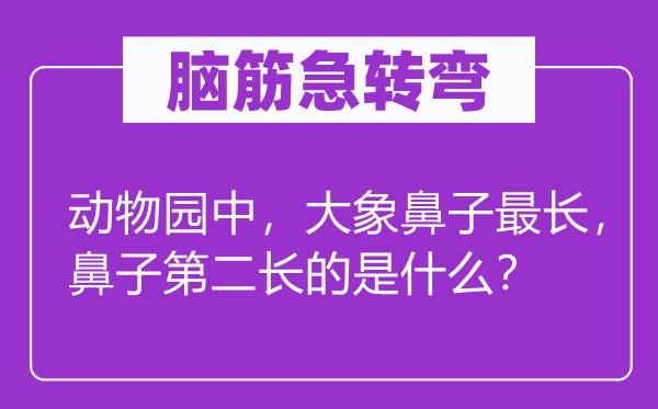 脑子急转弯:植物园中,大象鼻子最长,鼻子第二长的是甚么?