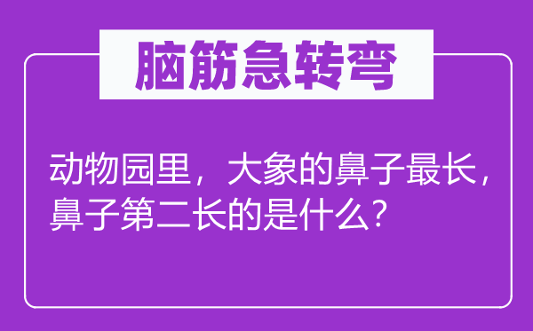 脑子急转弯:植物园里,大象的鼻子最长,鼻子第二长的是甚么?