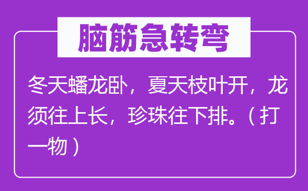 脑子急转弯:冬季蟠龙卧,炎天枝叶开,龙须往上长,珍珠往下排.(打一物)