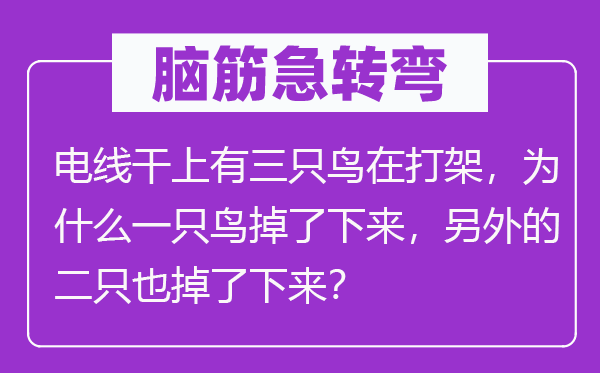 脑子急转弯:电线干上有三只鸟在打斗,为甚么一只鸟掉了上去,别的的二只也掉了上去?