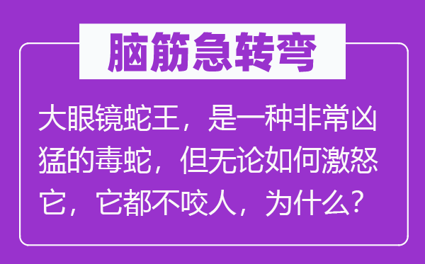 脑子急转弯:大眼镜蛇王,是一种很是凶悍的毒蛇,但不管若何激愤它,它都不咬人,为甚么?