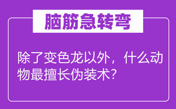 脑子急转弯：除变色龙之外，甚么植物最善于假装术？