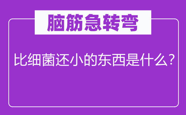 脑子急转弯：比细菌还小的东西是甚么？