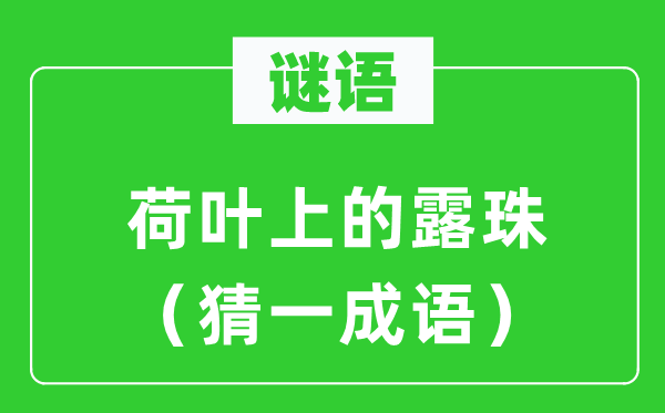 谜语：荷叶上的露水（猜一针言）