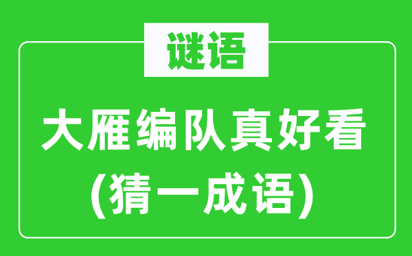 谜语:大雁编队真都雅(猜一针言)