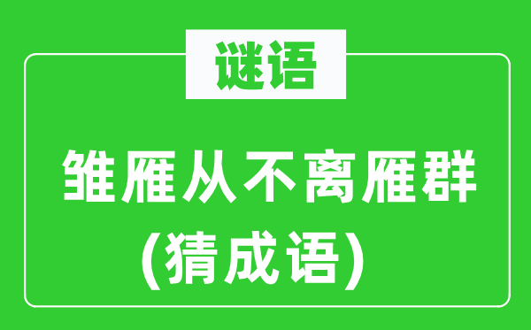 谜语：雏雁从不离雁群(猜针言)