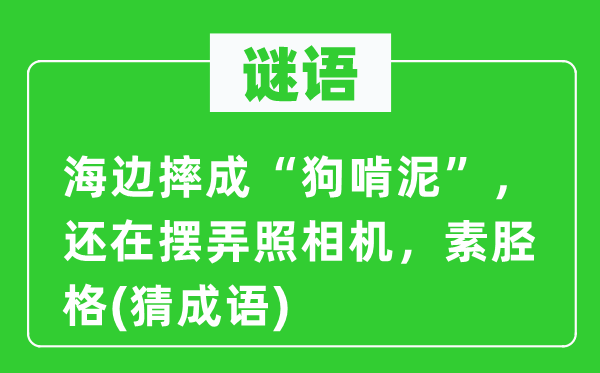 谜语：海边摔成“狗啃泥”，还在摆弄拍照机，素胫格(猜针言)